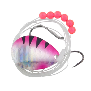 Image of Berkley Walleye Rig | Pink Perch; 3