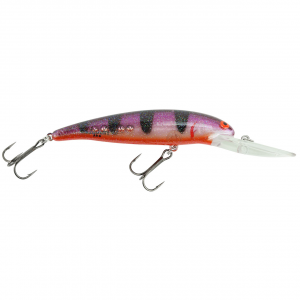 Image of Bomber Deep Long A B24A | Exclusive Color - Naked Purple Perch; 3 1/2 in.