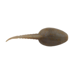 Image of Berkley Gulp! Alive! Tadpole | Smog; 1 1/4 in.