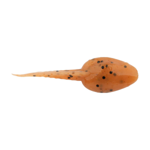 Image of Berkley Gulp! Alive! Tadpole | Pumpkinseed; 1 1/4 in.