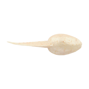 Image of Berkley Gulp! Alive! Tadpole | Luma Glow; 1 1/4 in.