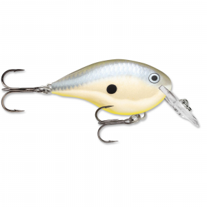 Image of Rapala DT Dives-To Crankbait | Disco Shad; 20 ft.