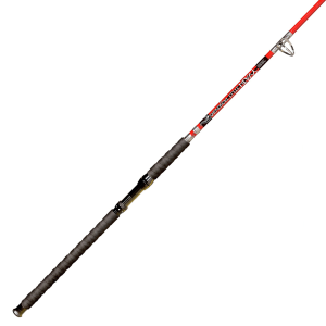 Image of BnM Fishing Silver Cat Heavy Spinning Rod