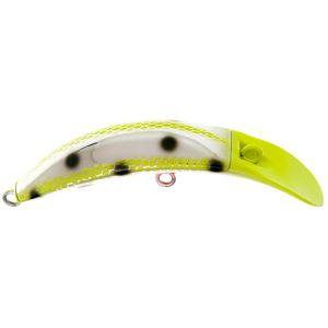 Image of Brad's KillerFish | Parrot; 4 in.
