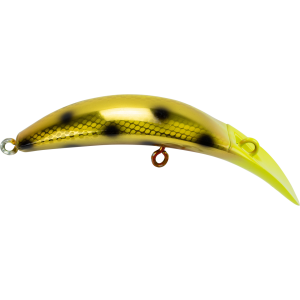 Image of Brad's KillerFish | Gold Parrot; 4 in.