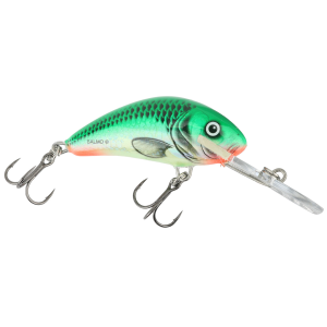 Image of Salmo Floating Hornet Crankbait | Green Sky; 1 5/8 in.
