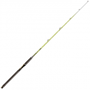 Image of BnM Fishing Atlas Catfish Casting Rod | ATLAS76