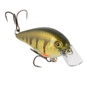 Image of Strike King KVD Elite Square Bill Crankbait | Pro Phantom Perch; 1.5