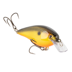 Image of Strike King KVD Elite Square Bill Crankbait | Fools Gold; 1.5