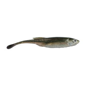 Image of Berkley PowerBait Drip Minnow | HD Spottail Shiner; 3 in.