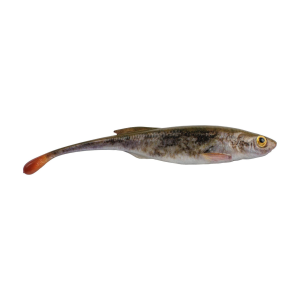 Image of Berkley PowerBait Drip Minnow | HD Goby; 4 in.