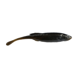 Image of Berkley PowerBait Drip Minnow | Green Pumpkin Shad; 4 in.