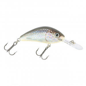 Image of Salmo Rattlin Hornet Floating Crankbait | Supernatural Alewife; 2 1/8 in.