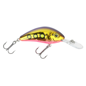 Image of Salmo Rattlin Hornet Floating Crankbait | Gold Beast; 1 3/4 in.