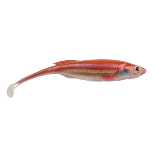 Image of Berkley PowerBait Drip Swimmer | HD Rainbow Shiner; 4 in.