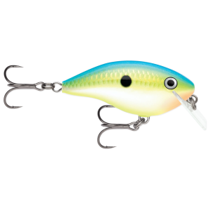 Image of Rapala Ott's Garage OG Big Rocco 6 Crankbait | Citrus Shad; 2 3/4 in.