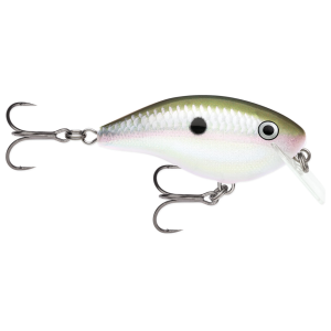 Image of Rapala Ott's Garage OG Big Rocco 6 Crankbait | Green Gizzard Shad; 2 3/4 in.