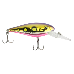 Image of Salmo Rattlin Executor Crankbait | Gold Beast; 2 3/4 in.