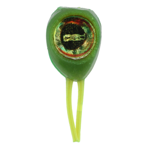 Image of Fish Daddy Double Eye Soft Bait | Green Pumpkin Glow Green; 3