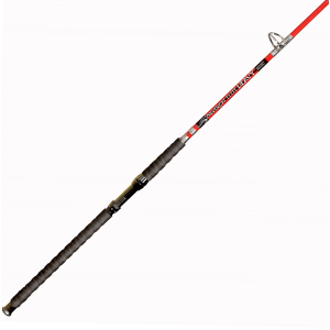 Image of BnM Fishing Silver Cat Elite Heavy Casting Rod