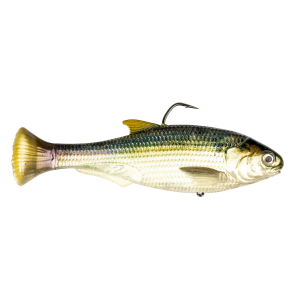 Image of Z-Man Shadtron LT Swimbait 4 1/2" | Blueback Herring; Fast