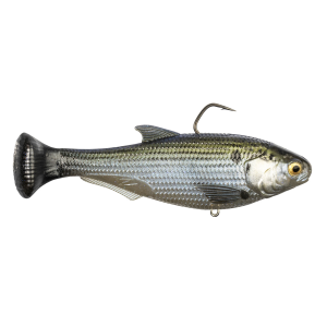 Image of Z-Man Shadtron LT Swimbait 4 1/2" | Mossback; Fast