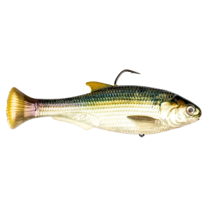 Image of Z-Man Shadtron LT Swimbait 6" | Blueback Herring; Slow