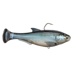 Image of Z-Man Shadtron LT Swimbait 6" | Glimmer Shad; Fast