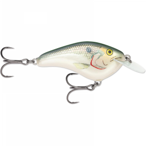 Image of Rapala Ott's Garage Slim Series Crankbait | Shad