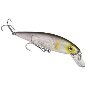 Image of Strike King KVD 200 Jerkbait | Clearwater Minnow; 4.5 in.