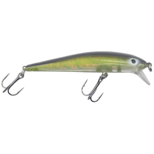 Image of Dreamweaver Short Shallow Diver | Ridin' Dirty; 3 1/2 in.