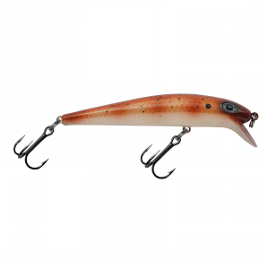 Image of Dreamweaver Short Shallow Diver | Goby; 3 1/2 in.