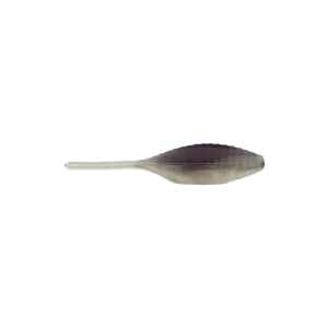 Image of Panfish Assassin Tiny Shad | Black Shad; 1 1/2 in.