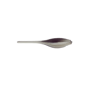 Image of Panfish Assassin Pro Tiny Shad | Black Shad; 2 in.