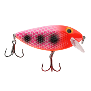 Image of Ice Strong Killer Fish Shallow Diver | Crazy Town UV; 2 3/4 in.