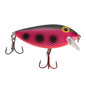 Image of Ice Strong Killer Fish Shallow Diver | Jawbreaker UV; 2 3/4 in.