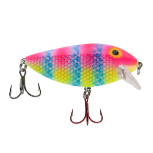 Image of Ice Strong Killer Fish Shallow Diver | Twisted Tea UV; 2 3/4 in.