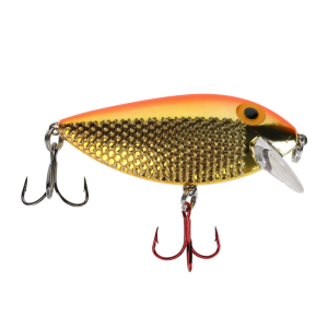 Image of Ice Strong Killer Fish Shallow Diver | OG Gold/Orange UV; 2 3/4 in.
