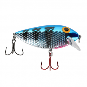 Image of Ice Strong Killer Fish Shallow Diver | Blue Chrome Tiger UV; 2 3/4 in.