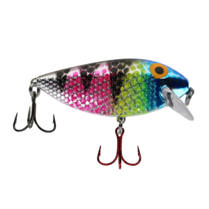 Image of Ice Strong Killer Fish Shallow Diver | Chrome Magic Zebra UV; 2 3/4 in.