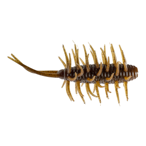 Image of Hideup Coike Medium Shrimp | Green Pumpkin