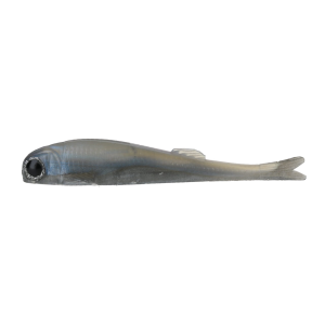 Image of No Live Bait Needed Mini Mullet | Fresh Mullet; 4 in.