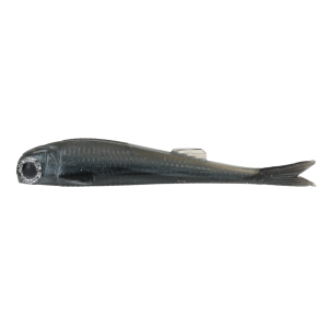 Image of No Live Bait Needed Mini Mullet | Smoked Mullet; 4 in.