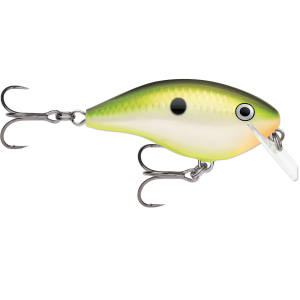 Image of Rapala Ott's Garage OG Rocco 5 Crankbait | Bruised Citrus Shad; 2 1/2 in.