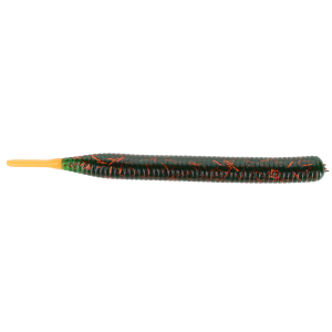 Image of Bondy Bait Company Producer Worm | Yellow Perch; 4 in.