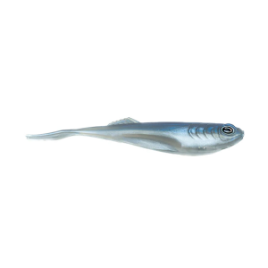 Image of CAST Echo Jighead Minnow | Blue Back Herring; 7.2 in.