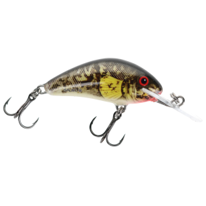 Image of Salmo Floating Hornet Crankbait | Exclusive Color - Gobes; 1 5/8 in.