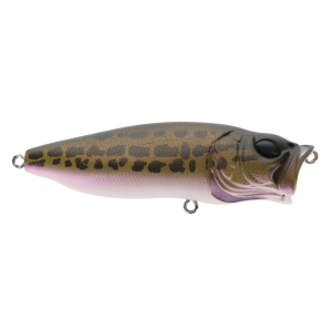 Image of Megabass Popmax Topwater Lure | Pagani Raigyo; 3.25 in.