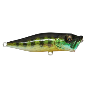 Image of Megabass Pop-X | Pumpkin Seed; 2 1/2 in.