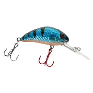 Image of Vexan Rattlin' Wasp Crankbait | Coot Perch; 3 in.